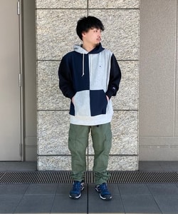 styling_image