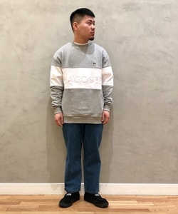 styling_image