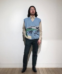 styling_image
