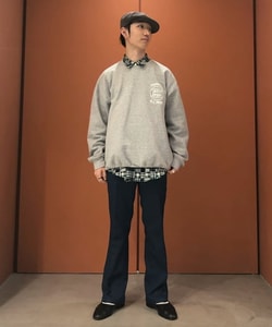styling_image