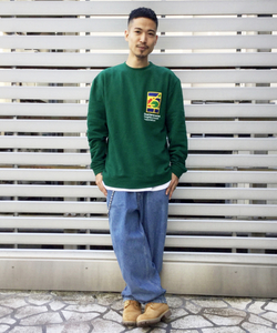 styling_image