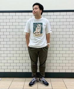 styling_image