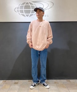 styling_image