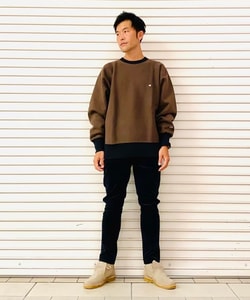 styling_image