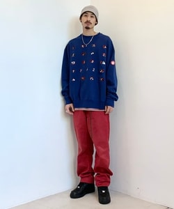 styling_image
