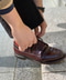 thumbail5