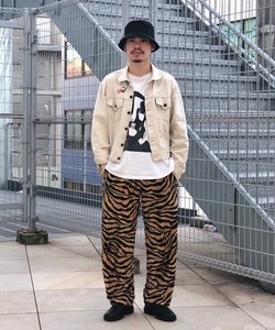 styling_image