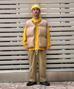 styling_image