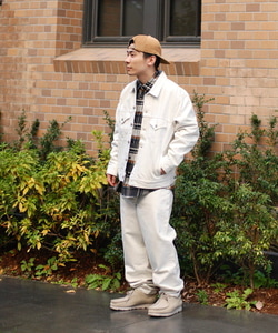 styling_image