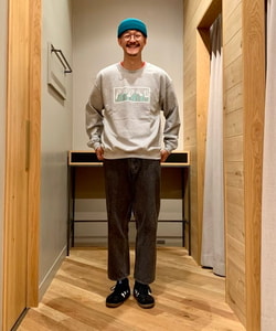 styling_image