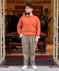 styling_image