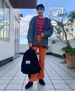 styling_image