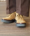 thumbail5