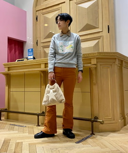 styling_image