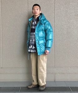 styling_image