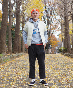 styling_image