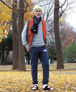 styling_image