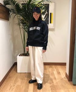 styling_image