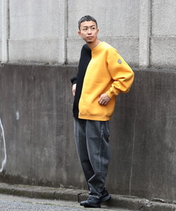 styling_image