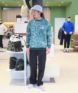 styling_image