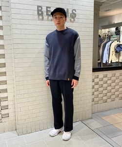 styling_image