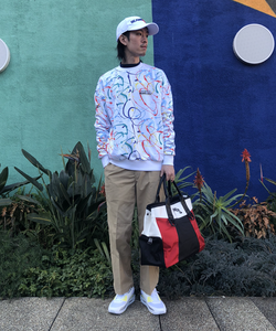 styling_image