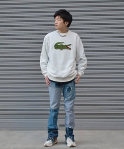 styling_image