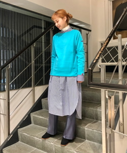 BEAMS JAPAN（ビームス ジャパン）【別注】LOOPWHEELER / 吊裏毛