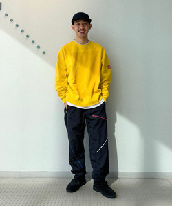 styling_image