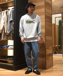 styling_image