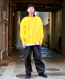 styling_image