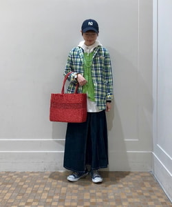 styling_image