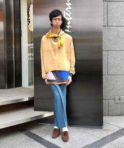 styling_image