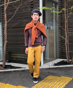 styling_image