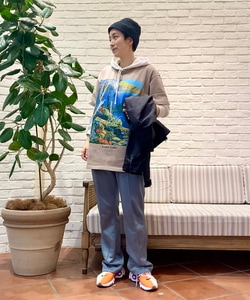 styling_image