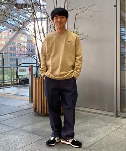 styling_image