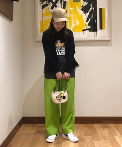 styling_image