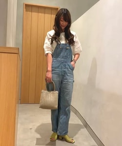 styling_image