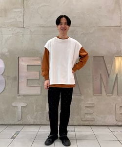 styling_image