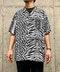 thumbail5
