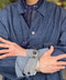 thumbail4