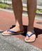thumbail4