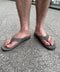 thumbail5