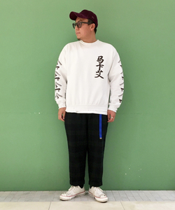 styling_image