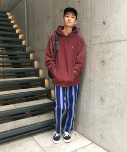 styling_image