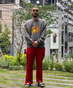 styling_image