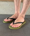 thumbail5