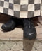 thumbail5