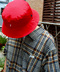 thumbail5