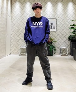 styling_image